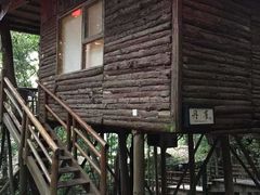 -天门沟九州驿站树上汤泉