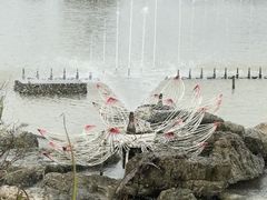 -荷兰花海