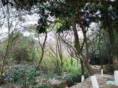 -白马涧龙池景区