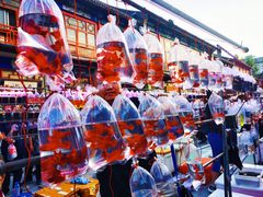 -华声天桥民俗文化园