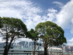 -香港皇家太平洋酒店