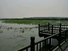 -天津东丽湖风景区
