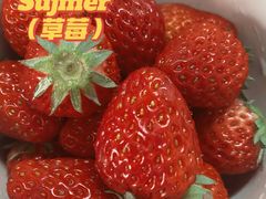 -南京理工大学紫金学院