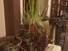 -斯多格书乡(北京大学畅春园店)