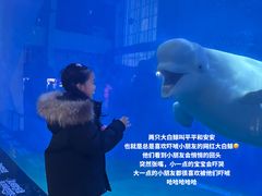 -泉城欧乐堡海洋极地世界