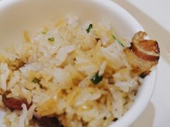 -探窝·竹笙椰子鸡(杨箕店)