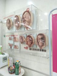 -五洲妇儿医院