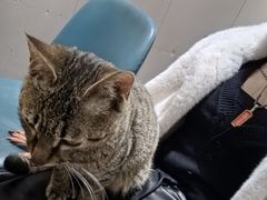 -盱眙虾神於氏龙虾(夫子庙红街店)