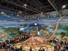 -自贡恐龙博物馆