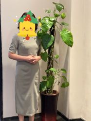 -盘子女人坊古装写真摄影(天津总店)