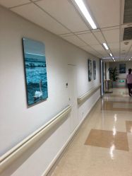 -杭州贝瑞斯美华妇儿医院·早孕·产检·儿科