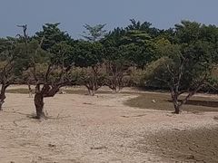 -鹤之洲湿地公园