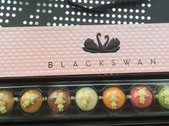 -BLACKSWAN黑天鹅(环球店)