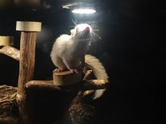 -太平洋海底世界