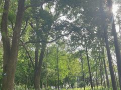 -东湖落雁景区