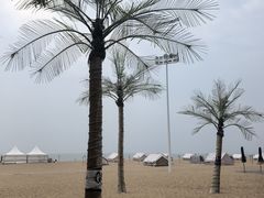 -金梦海湾浴场