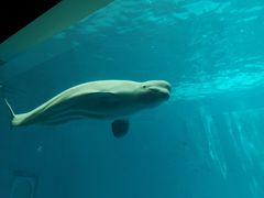 -石林冰雪海洋世界