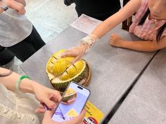 -都念榴莲·城市榴莲