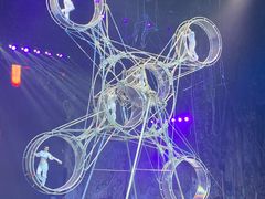 -广州长隆国际大马戏