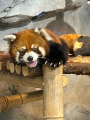 -Zoolung Zoolung动物主题公园(海信广场店)