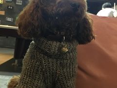 -CIAO·团建聚餐·生日派对轰趴馆(福田店)