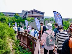 -桔子文创·企业团建·活动策划·拓展会议