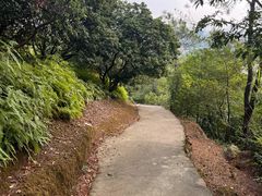 -风云岭森林公园