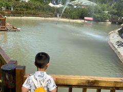 -合肥滨湖国家森林公园