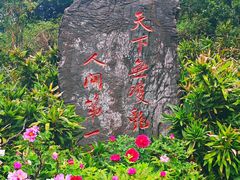 -洛阳市牡丹公园