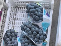 -马陆小张葡萄园农家乐