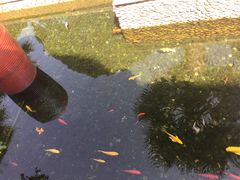 -龙源九号花园酒店(叶埠桥店)