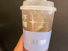 -TD66高山铁皮石斛养生茶饮
