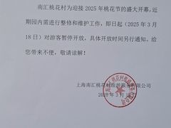 -南汇桃花村