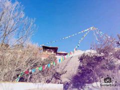 -招虎山国家森林公园-售票处