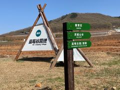 -金石滩蓝莓谷庄园