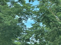 -巴黎春天(浦建店)