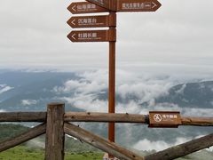 -达瓦更扎