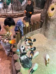 -宝燕乐园(闵行旗舰店)