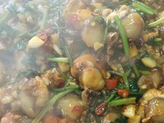 铁板扇贝肉-枫林饺子