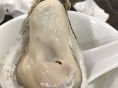 -蚝专家