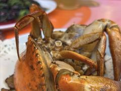 -鑫悦楼煎蟹·16年海鲜大排档