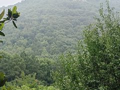 -宝岩生态观光园