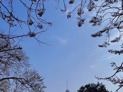 -红星桥(地铁站)