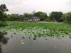 -范蠡湖公园