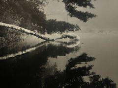 -府河摄影公园