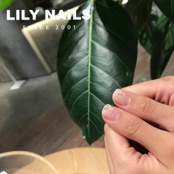 -LILY NAILS美甲美睫