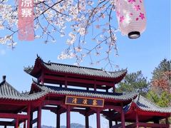 -武汉大学-樱园