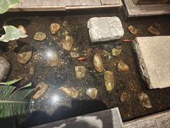 -邈墨茶馆(大兜路1号店)