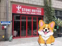 -Stone Motion释动健身