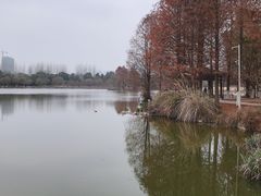 -浙江农林大学(东湖校区)